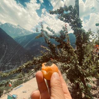 Raldang Himalayan homestay & farm stay - 7
