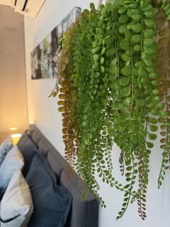 Little Nest II - 3
