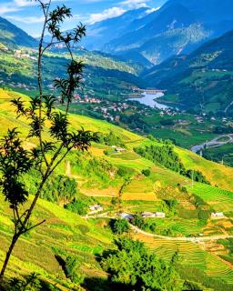 Indigo Home Stay - 3