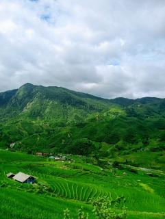 Indigo Home Stay - 6