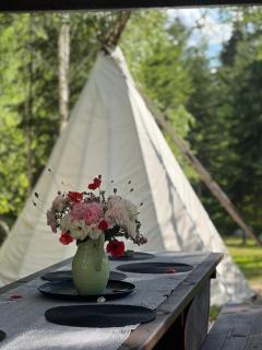 Bonair Tipi Village I Glamping - 7