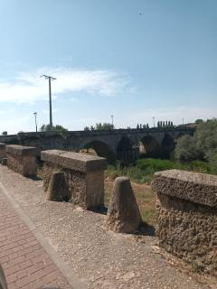 VUT Mis Casitas I Y II - 5