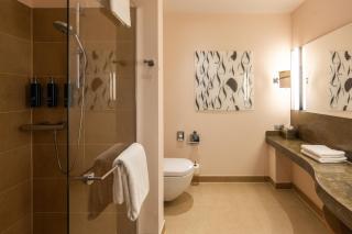 DoubleTree by Hilton Oradea - 9