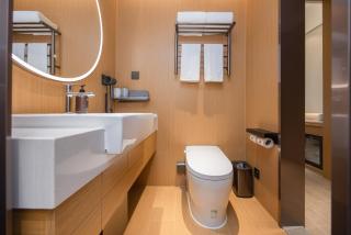 JI Hotel Shenzhen Guangmingcheng Station - 7