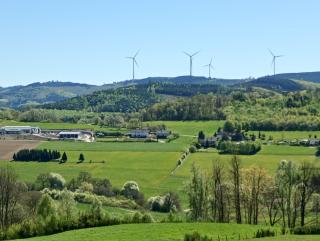 Lausebuche Im Sauerland - 9