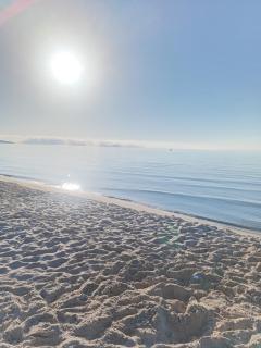 La vague - 2