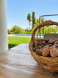 Chalet con piscina en plena naturaleza, aire puro - 7