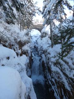 L'Escale Cauterets - 9
