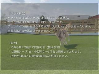 Aoniwa Awaji - Sea, Sky, Swing - 4