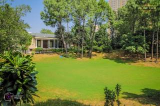 The Mint farmhouse - 9