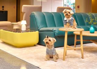 GO Hotel Chonburi at Central Chonburi - 7