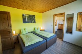 Ferienwohnung Arnika in Friedrichshöhe direkt am Rennsteig - 9