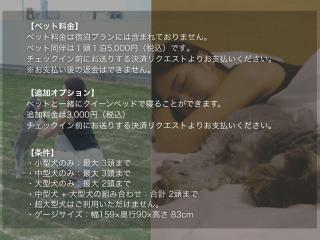 sante 4073 STAY & SAUNA HAKATA ISLAND #1 AROZU - 6