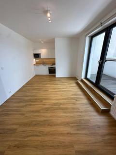 Central Apartments Opava - Studio - 2