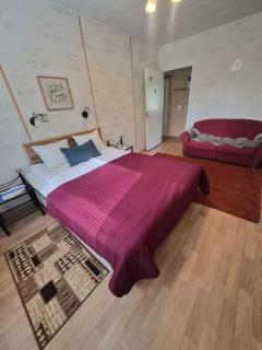 MiniMani House with Sauna - 3