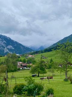 Apartment mit Bergblick kostenloser Parkplatz, WLAN, TV, Einbauküche - 2