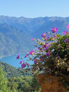 Villa Alessandra - 6