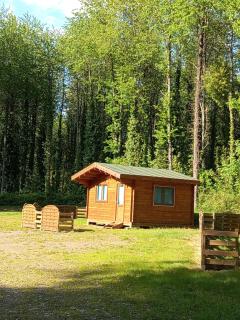 Pied de Mouton - Comblessac - 9