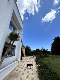 Spacious villa with private pool - 7