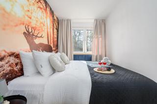 Lumina I 2-rooms Apartment near Museum of Fryderyk Chopin I AC - 9