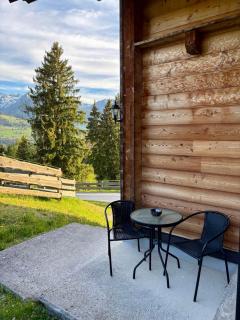 Stroblalm - Chalet mit Panoramablick - 2
