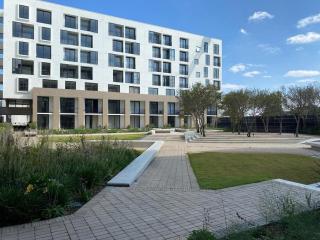 Modern Rosebank Escape - 1