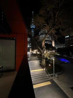 Luxury CBD Apartment, Pool, Gym and Sky Tower View - 6