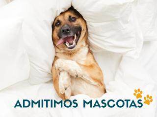 Apartamentos Vistamar Marina D'Or 1º línea 3000 - 5