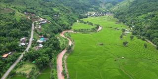 เวนิสบ้านเวร - 6