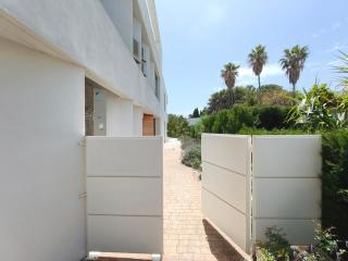 Luxury Beachfront Villa with Pool - 1
