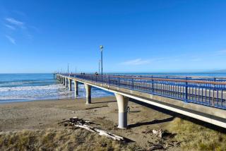 Seaview 1BR Apartment Marine Parade - 3