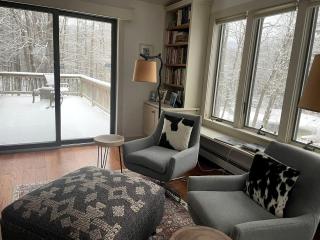 Awesome Cottage with Fireplace and Swimming Pool in Sunderland, Vermont - 3