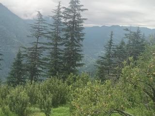 Apple Zone Home Stay - 9