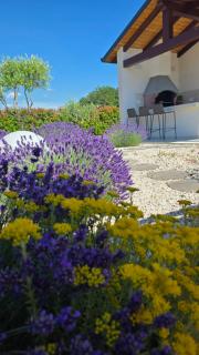 Villa Green Forest with wellness and heated salty pool - 3