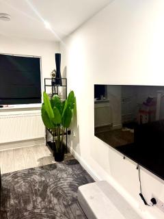 Cosy Luxury Home with Private Parking Sleeps 3 - Birmingham - 5
