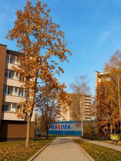 Taikos apartamentas - 5