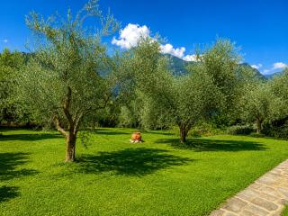 Villa Martino Private Pool & Stunning Lake Como View - 5