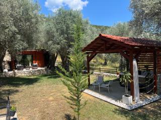 Olive grove Sofias Garden - 9