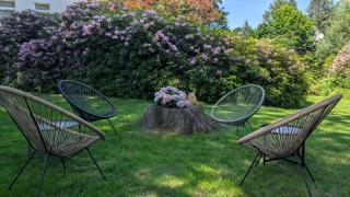 Oberlausitz Glück - gemütliche Ferienwohnung in ruhiger Lage mit Garten und Kamin - 8