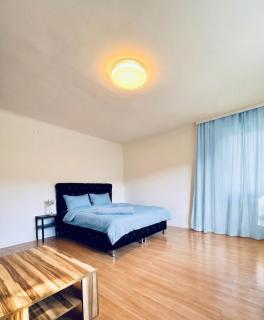 Spacious Villa with Garden near Danube For 16 Guests for long stay - 7