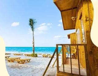 Palm Hills North Coast New Al almein - 8
