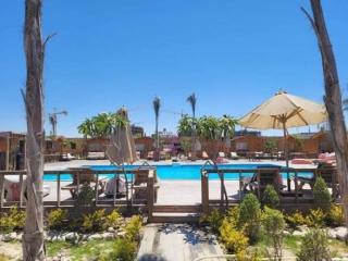 Palm Hills North Coast New Al almein - 9