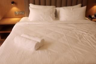 Felix Inn Boutique Hotel - Bengaluru Airport - Dod Jāla - 7