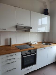 Schwan-1-5-Personen - 3