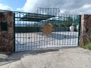 La PEPI - 6