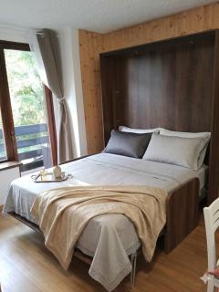 La Finestra sul Brenta with FREE AND PRIVATE CAR PARK IN MAD di CAMPIGLIO CIPAT O22233-AT-O13262 - 1
