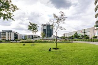 Ellipse Waterfall Luxury near Mall Of Africa with Spa and Gym - 1