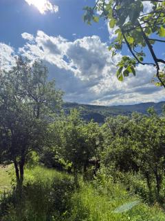 Debed View - 7