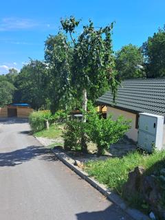 Leniwiec - 9