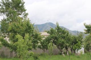 "AlmUrUt" Guest House - 3